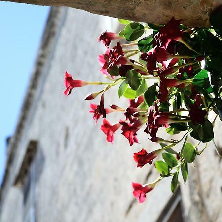 B&B Il Golfo Delle Sirene Bisceglie Buitenkant foto