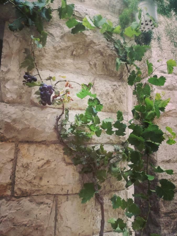 B&B Il Golfo Delle Sirene Bisceglie Buitenkant foto